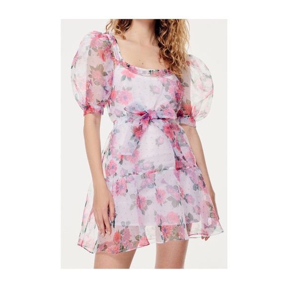 For Love & Lemons Frosted Organza Dress